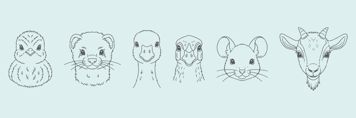 Farm animals like  baby quail (chick), baby ferret (kit), baby goose (gosling), baby pheasant (chick), baby rat (pup), and baby goat (kid) hand drawn vector outline icons.