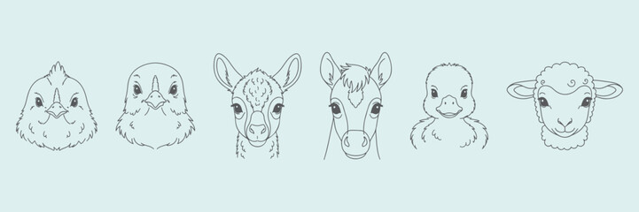 Farm animals like  baby peacock (peachick), baby guinea fowl (keet), baby llama (cria), baby mule (foal), baby duck (duckling), and baby sheep (lamb) hand drawn vector outline icons.
