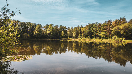 Baggersee near Achmer &ndash; Peaceful Lake with Forest Reflections in a Tranquil Landscape