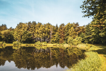Baggersee near Achmer &ndash; Peaceful Lake with Forest Reflections in a Tranquil Landscape