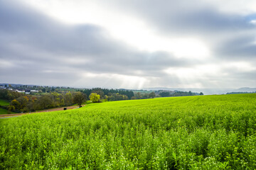 View of the landscape with fields and forests in the Eifel.
