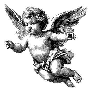 Naklejki A modern illustration of a cherub with wings is rendered in a classic engraving style with great detail