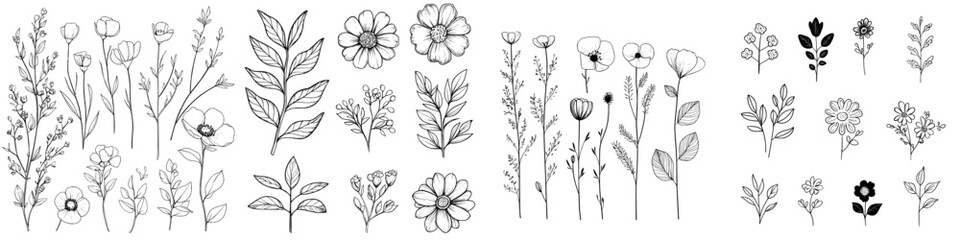 A collection of branches and leaves, presented in a floral hand-drawn vintage style, created as a sketch line art illustration for use in greeting cards and wedding or birthday invitations