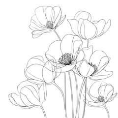 An isolated simple white outline with black fill is used to hand draw cute anemones
