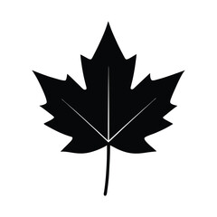 Maple Leaf Clean Vector Silhouette