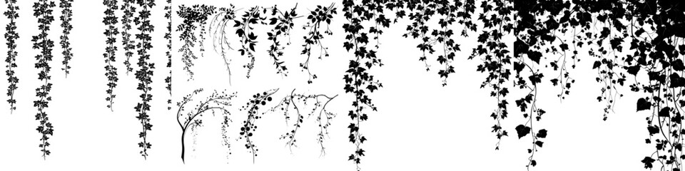 Modern frames are accentuated by the silhouettes of isolated ivy lianas, which adorn border lines and corners in a vertical manner, accompanied by black vines of creeper plants, hanging branches, and