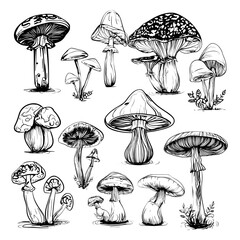 A modern set of monochrome sketches featuring silhouettes of fly mushrooms in a minimalistic flat style