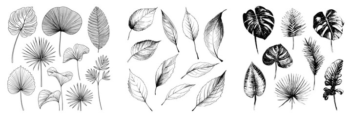 Different kinds of ornamental leaves are illustrated in monochrome, highlighting their organic charm and creative styling