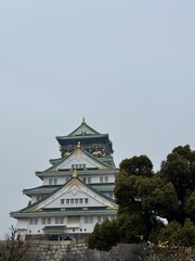 Fototapeta premium Osaka Castle view