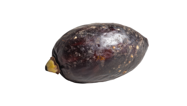 Single dark-colored fruit, speckled with light patches