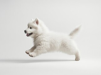 A fluffy white puppy in mid-run against a plain backdrop.  The pup's body is angled sideways, showcasing its playful energy.  Its fur is soft and thick