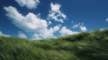 Obraz premium Blue sky and white clouds, bright spring, bright sunshine, endless green grassland, feel the nature, the wind blows, the grass sways in the wind, oriental aesthetics, natural light, 4k