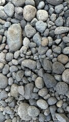 A child's hand gently touches a collection of various-sized grey and brown river rocks