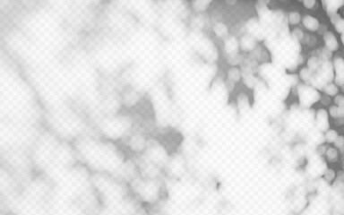 Abstract shadow overlay from tree branch on a transparent background.