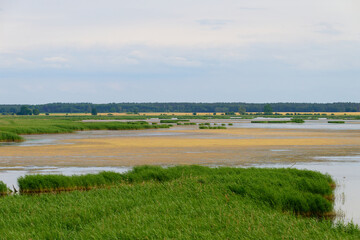 Obraz premium Naturschutzgebiet Anklamer Stadtbruch im Frühjahr