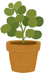 Cozy Illustration Plant with Circular Leaves in Pot