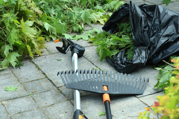 Branch cutter and garden rake on tile driveway in backyard. Gardening, tools and lifestyle....