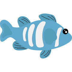 Sea Animal Illustration