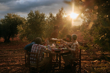 Farmers enjoying dinner together in olive grove at sunset