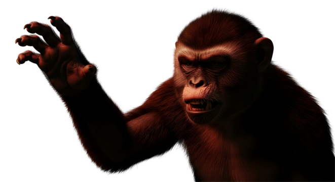 Angry Monkey Waving Hand on Transparent Background