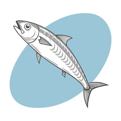 Fototapeta premium Sardine fish on a blue sea background. Simple illustration of sardine. Sketch illustration.