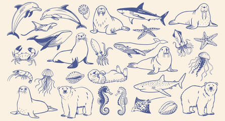 Set of hand drawn sea animals and underwater animals. Sketch outline illustration.