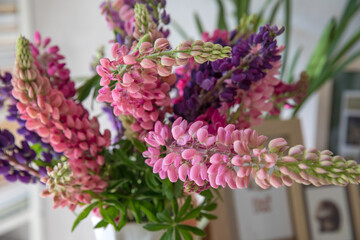 Beautiful bouquet of pink and purple lupines