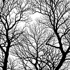 Fototapeta premium Autumn tree silhouette against a dusky evening sky