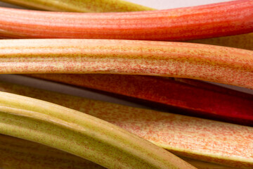 Fresh young rhubarb leaves as background. Vegetarian food. Healthy plant. Top view. Close up....