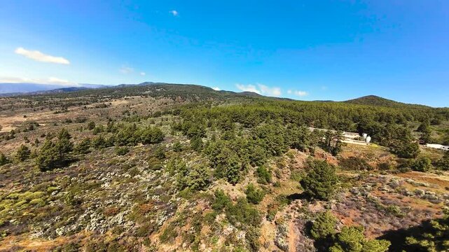 Las barreras forest and hills under a sunny sky in tenerife, aerial view