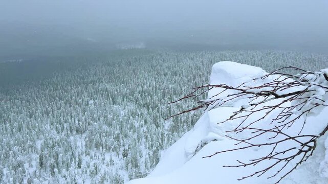 View of the white rocks and the winter forest on Mount Polyud. Lappish spruces on Mount Polyud in the Perm region in winter. In winter, there is a lot of snow and frost on the trees in the Urals. 4К