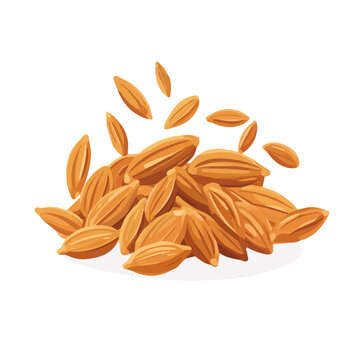 My Simple flat 2D icon, cumin seeds isolated on a transparent background, vector, flat design, animation design, simple flat 2D icon, minimalist design, clipart. eps