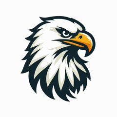 Fototapeta premium eagle head vector illustration