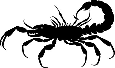 scorpion isolated on white background