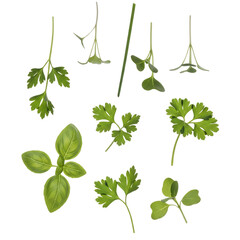 Small herbs flying around at different angles with natural distance, suitable for organic food advertising or healthy lifestyle design. Sharp detailed PNG on transparent background.