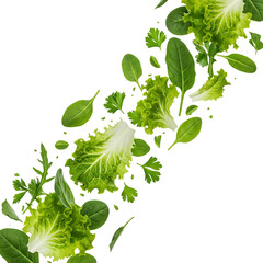 Small herbs flying around at different angles with natural distance, suitable for organic food advertising or healthy lifestyle design. Sharp detailed PNG on transparent background.