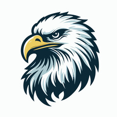 Fototapeta premium eagle head vector illustration