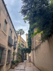 Wandering through the charming streets of Spain, from Barcelona to Granada—filled with rustic buildings, cobblestone paths, hanging balconies, and colourful facades