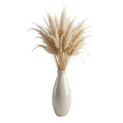 Decorative pampas grass in tall minimalist vase, white background.