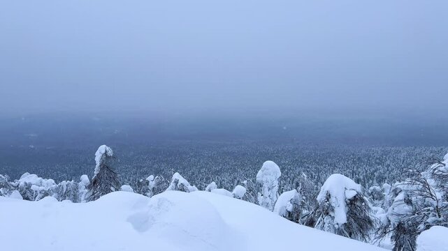 View of the white rocks and the winter forest on Mount Polyud. Lappish spruces on Mount Polyud in the Perm region in winter. In winter, there is a lot of snow and frost on the trees in the Urals. 4К