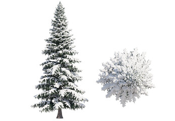 Spruce Tree Snow  isolated on transparant background. 3d rendering