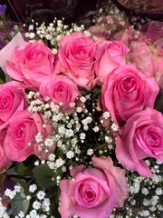 Vibrant pink roses bouquet with baby's breath.