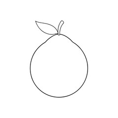 Exotic Guava Fruit Tropical Delicacy for Healthy Eating and Delicious Recipes