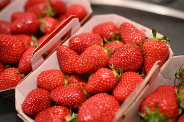close-up of rows of strawberry punnets
