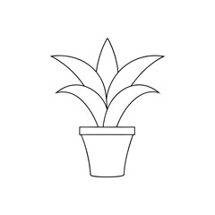 Vibrant Guzmania Bromeliad Exotic Houseplant for Modern Home Decor