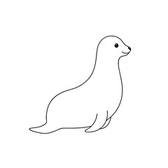 Adorable Harp Seal Pup Discover Arctic Marine Mammal and Wildlife Conservation