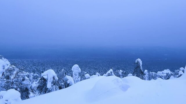 View of the white rocks and the winter forest on Mount Polyud. Lappish spruces on Mount Polyud in the Perm region in winter. In winter, there is a lot of snow and frost on the trees in the Urals. 4К
