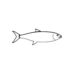 Obraz premium Classic Herring Fish Marine Wildlife Ocean Food Illustration