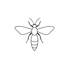 Dangerous Hornet Insect Wasp Flying Bug Wildlife Illustration