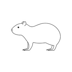 Obraz premium Unique Cuban Hutia Rodent Mammal Wildlife Animal Illustration